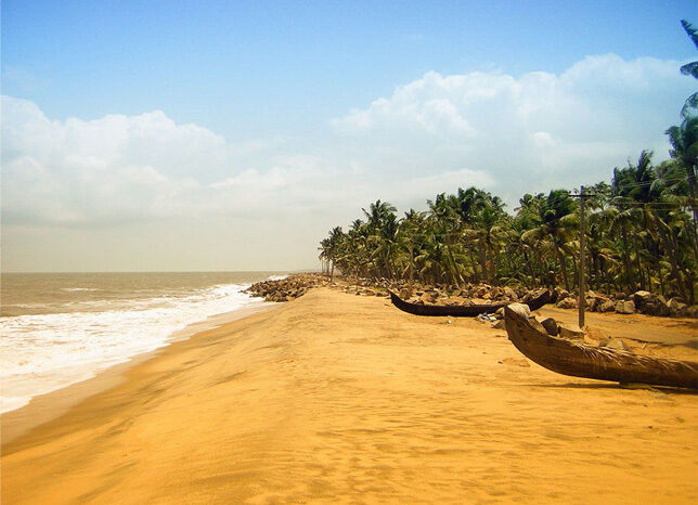Kerala Backwaters & Beaches Tour (7 Days)